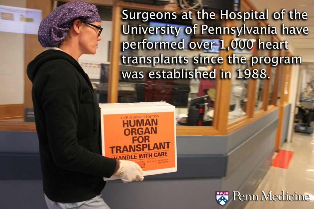 Penn Medicine surgeons at the Hospital of the University of Pennsylvania have performed more than 1,000 heart transplants since the program was established more than 25 years ago.